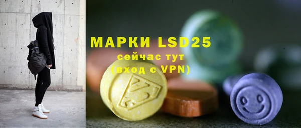стаф Абинск
