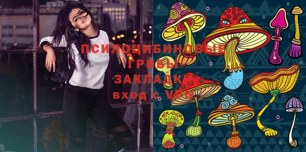 круглые Алзамай