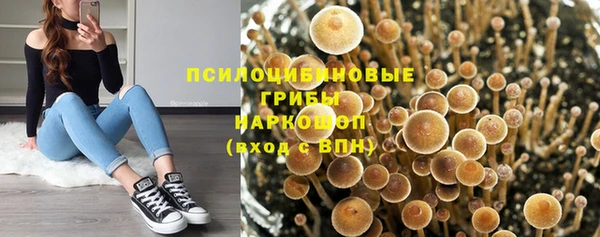 mix Алексин