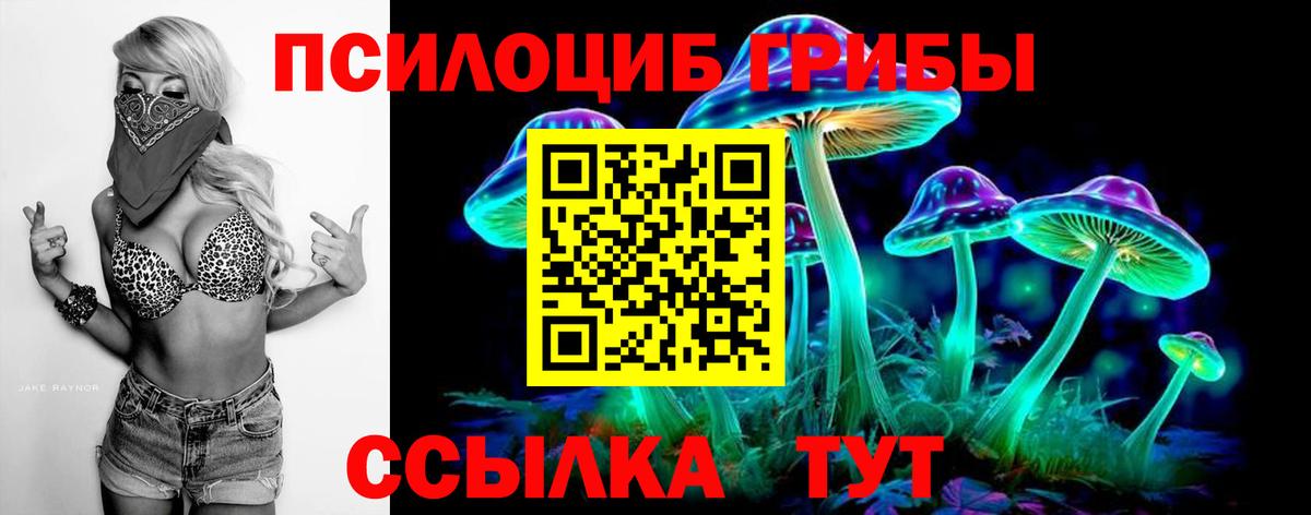 Псилоцибиновые грибы Psilocybe  Вход с VPN  Новочебоксарск 